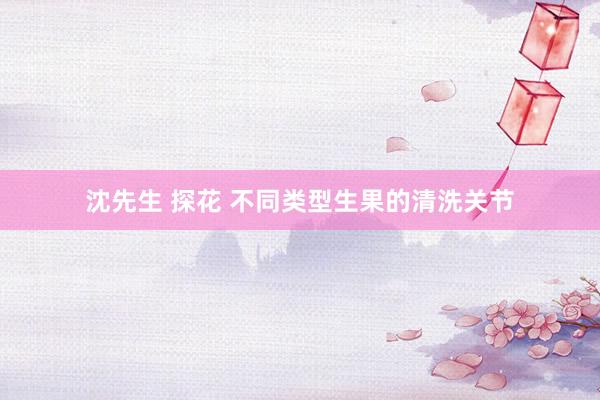 沈先生 探花 不同类型生果的清洗关节