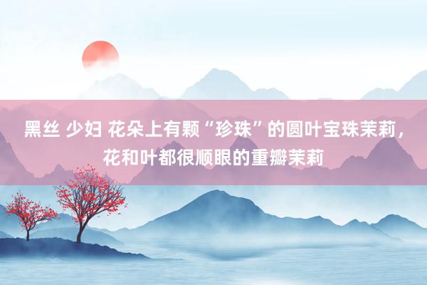 黑丝 少妇 花朵上有颗“珍珠”的圆叶宝珠茉莉，花和叶都很顺眼的重瓣茉莉