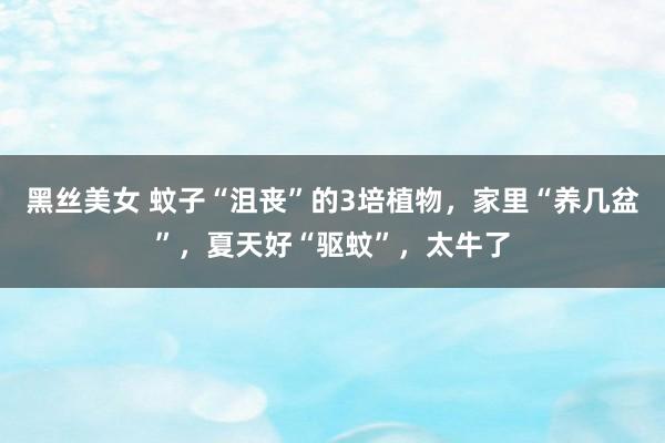 黑丝美女 蚊子“沮丧”的3培植物，家里“养几盆”，夏天好“驱蚊”，太牛了