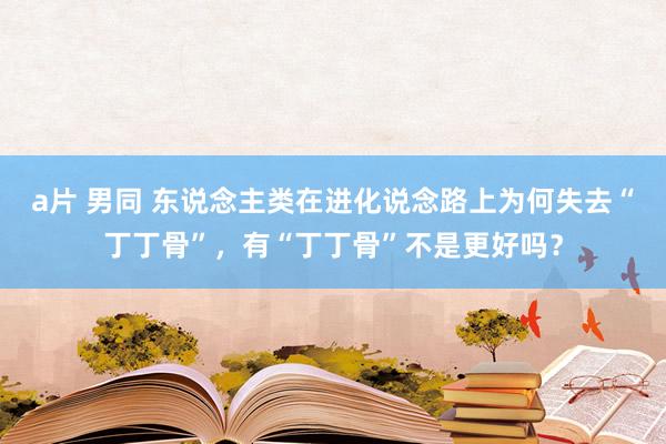 a片 男同 东说念主类在进化说念路上为何失去“丁丁骨”，有“丁丁骨”不是更好吗？