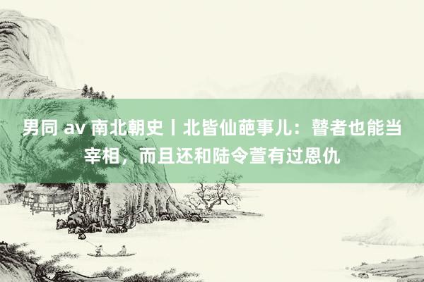 男同 av 南北朝史丨北皆仙葩事儿：瞽者也能当宰相，而且还和陆令萱有过恩仇