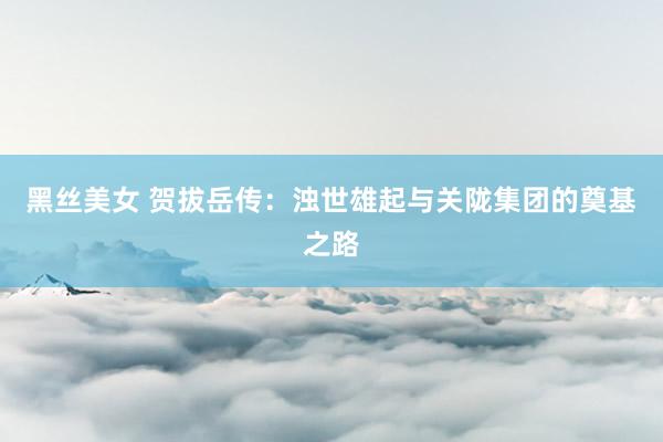 黑丝美女 贺拔岳传：浊世雄起与关陇集团的奠基之路
