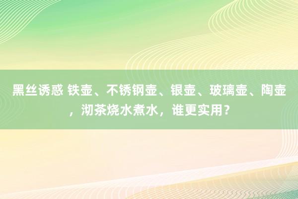 黑丝诱惑 铁壶、不锈钢壶、银壶、玻璃壶、陶壶，沏茶烧水煮水，谁更实用？