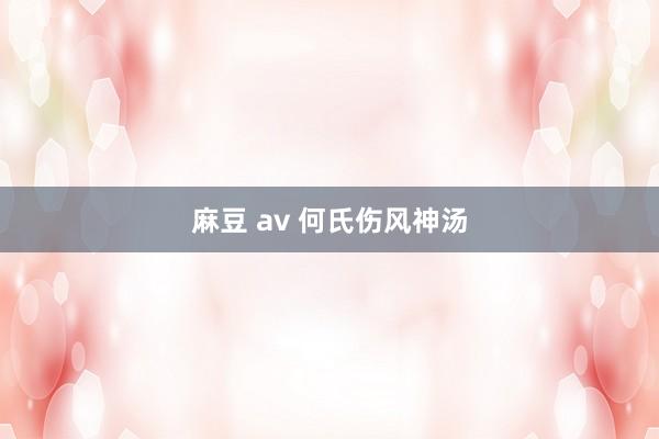 麻豆 av 何氏伤风神汤