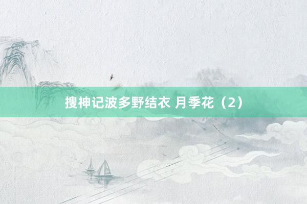 搜神记波多野结衣 月季花（2）